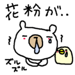 春のしろくまさん　Spring White Bear