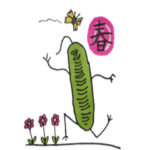 ミドリムシのお豆ちゃん11