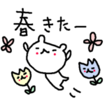 春のくまさんとお花たち Spring bear