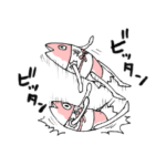 ドジローがゆく