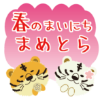 まめとら春のまいにち