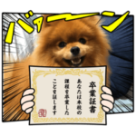 ポメラニアンのモコちゃん卒業式スタンプ
