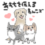 気持ちを伝えるわんこズ