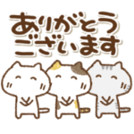 ねこっちーず②