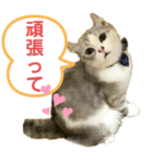 あお&ハク・シネマスタンプ