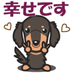 気持ちを伝えるダックスフンド