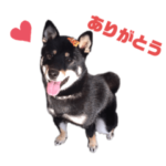 うめちゃんのステッカーその2