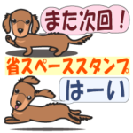 省スペースダックスフンド