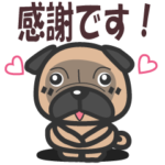パグ　気持ちを伝える