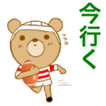 ラグビーくまさん