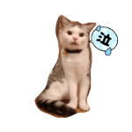 かわいいもちまる