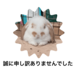 思春期をこじらせているオスウサギ