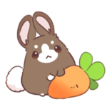 もちもち うささ