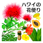 ハワイの花便り