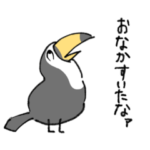 トゥッカーノさんよくばりセット