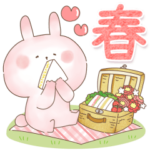 ぬくうさ16♡大人かわいい春