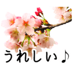 暮らしに花を♪桜 Part2