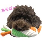 もずくのもっちゃん