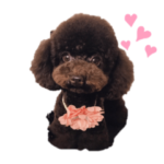 もずくのもっちゃんPart2