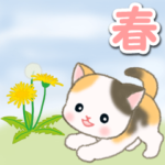 春の野原のベビーにゃんこ