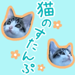 猫のすたんぷ。