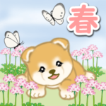 春の野原の赤ちゃん豆柴