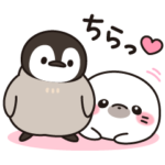 ほのぼの子アザラシ