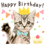 アメリカンショートヘア☆スタンプ