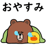 毎日使えるブラウン＆サリー