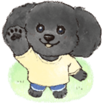 まるっこ犬 トイプードル