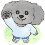 まるっこ犬 トイプードル