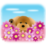 かわいい♪トイプードル3