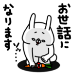 全力うさぎゾッとする使える敬語編