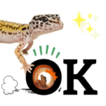 ヤモリの観察日記