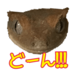 やえがしさんちのれぷたいるず 2