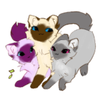 ポインテッドにゃんズ２