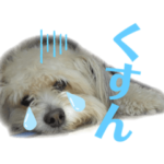 らぶ・すまいる2