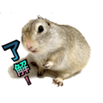 ジリスのメロン（挨拶・会話）