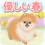 優しい春 ふわふわポメちゃん