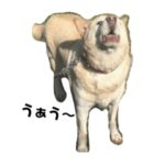 りんのスタンぷ