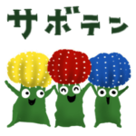 サボテン
