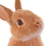 ベビーうさぎのまるぴょんVer.3