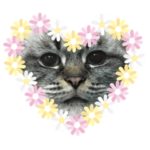 猫のおじゃる丸！