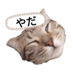 ミモザさんヘラ