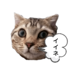 ミモザさんスタンプショップ6