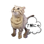 ミモザさんスタンプショップ5