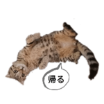 ミモザさんスタンプショップ4