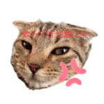 ミモザさんスタンプ3飲み会篇