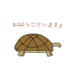 落ち着いたかめくん