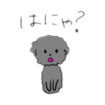 手書きトイプードル③